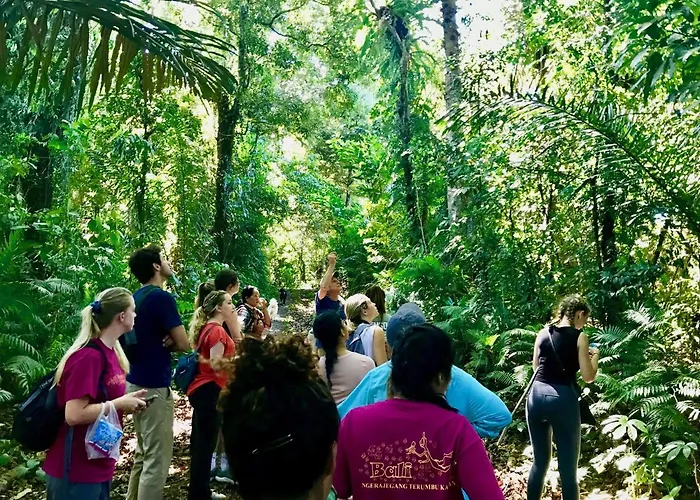 Sarinbuana Eco Blimbing (Bali)