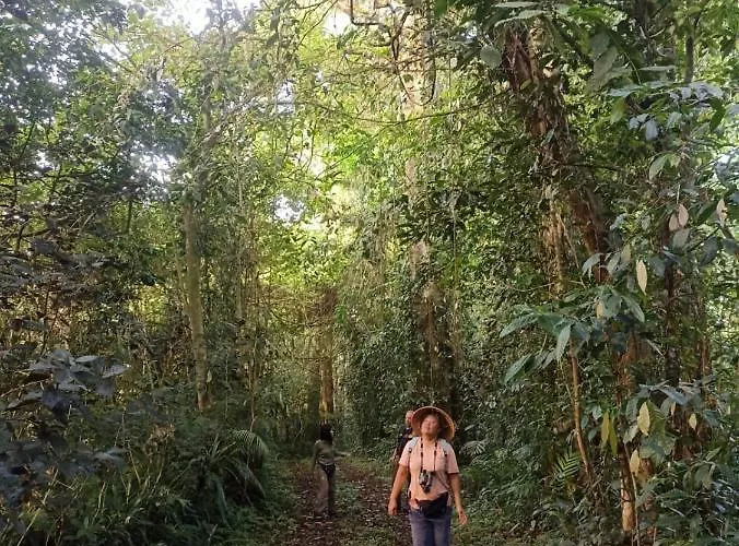 Gasthof Sarinbuana Eco Blimbing (Bali)