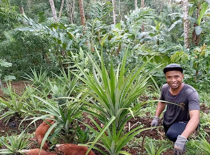 Sarinbuana Eco 4*