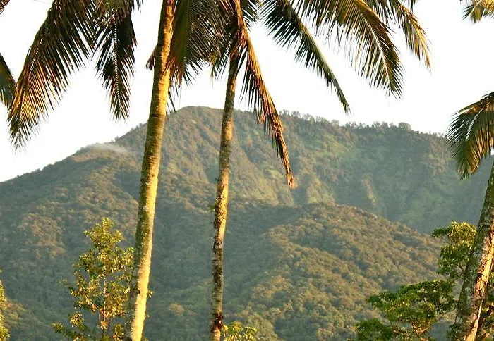 Sarinbuana Eco Gasthof Blimbing (Bali)
